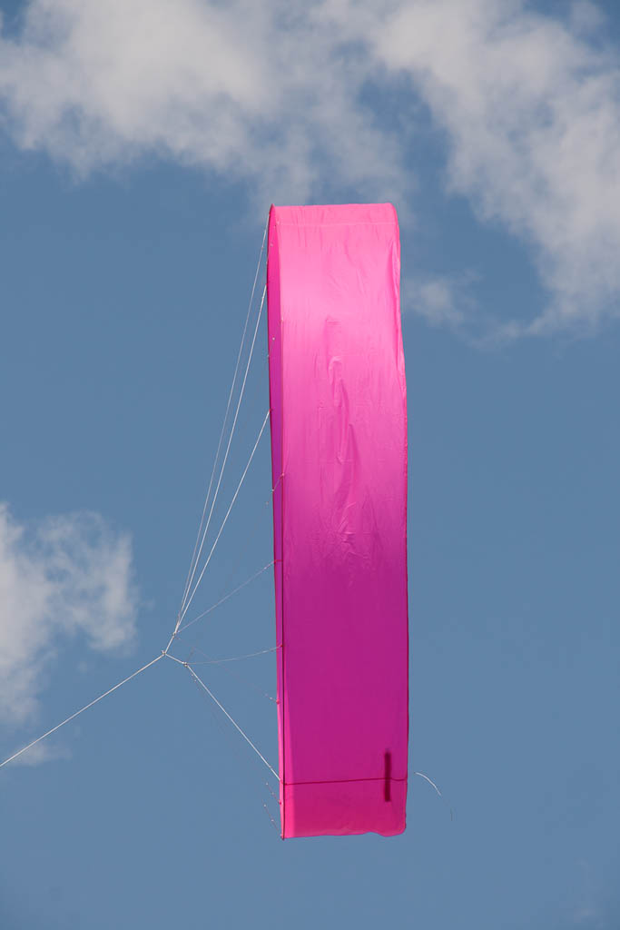 Circoflex,8m Pink,Carrington Fluor Pink