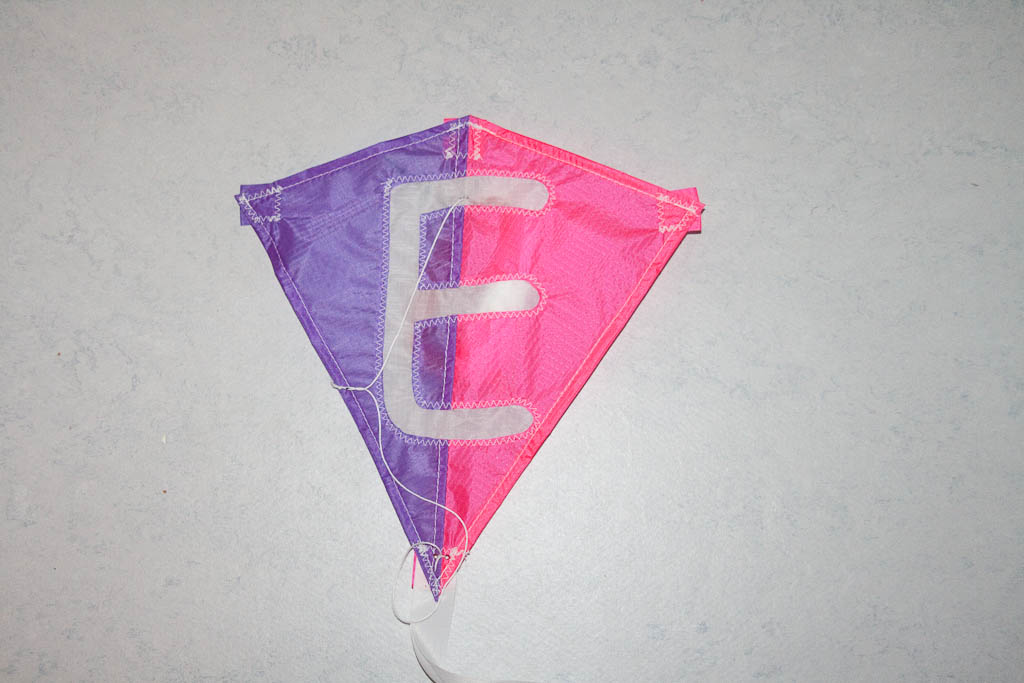 Eddy,Small,Carrington: Shades of Purple, Petrol, White