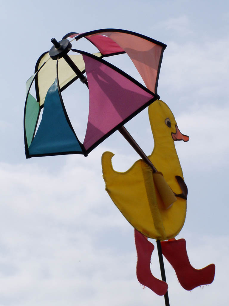 Duck,Umbrella,