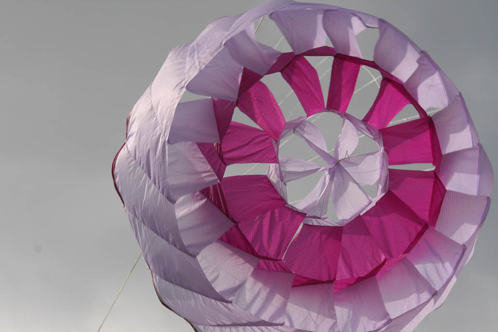 Rozet Rotor,1,Carrington: Shades of Purple