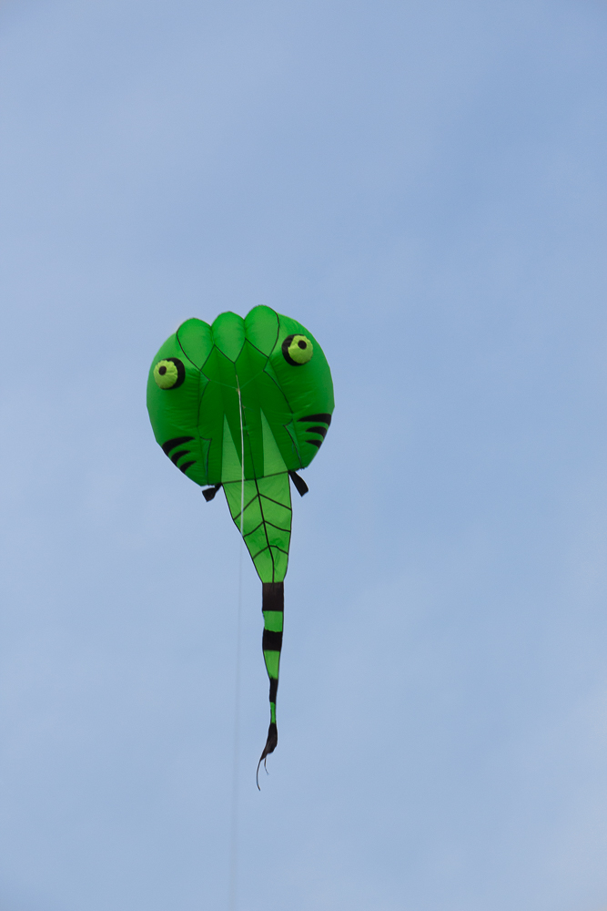 Tadpole,2 m2 Green,Spinnaker