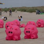 Fanø 18-6-11