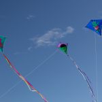 Ginkelse Heide 24-7-22