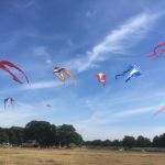 Ginkelse Heide 2-8-22